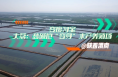 变废为宝！大荔：盐碱地“变身”水产养殖场