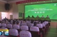 《直通县市》大荔县30名贫困学生受资助
