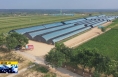 《直通县市》澄城：壮大集体经济 助力群众增收