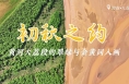 初秋之约！黄河大荔段的翠绿与金黄同入画