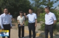 《直通县市》高成文检查澄城县防汛和河湖长制工作