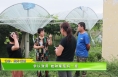 【我和天福樱花的故事第三季】学以致用 她种葡萄有一套