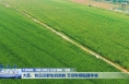 大荔：秋日沃野生机勃勃 万顷良田酝酿丰收