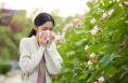 秋季过敏性鼻炎该如何防护?