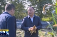 《直通县市》薛斌调研蒲城县秋收秋播和乡村振兴工作