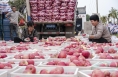 陕西白水：壮大苹果产业 助力乡村振兴