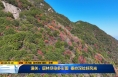 《直通县市》潼关：层林尽染多彩图 秦岭深处好风光