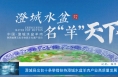 澄城县出台十条举措扶持澄城水盆羊肉产业高质量发展