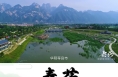 《秦药》 区域特色中草药——连翘