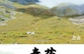 《秦药》 区域特色中草药——盘龙七