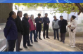 第十六届全国葡萄病虫害防治技术与经验研讨会与会人员来临渭区观摩