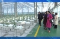 实地调研拓思路 交流互鉴促发展