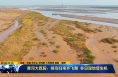 《直通县市》黄河大荔段：候鸟归来齐飞舞 冬日湿地显生机
