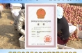 【渭南科技】富平：强化技术引领 全力推进果业提质增效