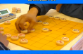 2023年渭南市全民健身运动会“乘风破浪杯”象棋比赛在临渭区开赛