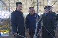 《直通县市》张旭调研澄城县“千万工程”示范村建设 “软弱涣散”村党组织整顿等工作