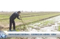 渭南市东雷抽黄工程管理中心：冬灌保耕正当时 农田喝饱“冬眠水”