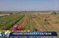 《直通县市》大荔白水被认定为省级优质农产品生产重点县