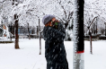 澄城：初雪后银装素裹 美景尽现