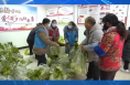 情暖万家“蔬”送温暖 2350份蔬菜包 暖心又暖胃