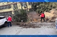 《创建进行时》临渭区解放街道：紧盯反馈问题  狠抓整改落实
