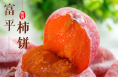 杨一凡：让富平柿饼甜蜜中国