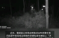 蒲城公安抓获张贴“涉黄”小卡片团伙5人