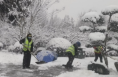 临渭区各部门齐发力 扫雪护行情暖人心