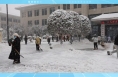 临渭区各医疗机构组织扫雪除冰
