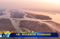 ​《直通县市》大荔：候鸟云集黄河滩 冬日湿地生机旺