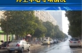 女贞果实污染路面 环卫中心专项清洗