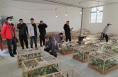 曹榮桓愿景：在華陰建全國最大鸚鵡養(yǎng)殖場