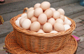 每天一个鸡蛋，益于心血管健康?