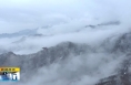 ​《直通县市》少华山：缥缈映俊秀 苍龙游山巅