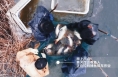 吃魚就吃黃河魚 洽川年產水產品4.8萬噸