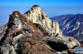 美麗中國丨春登華山覽奇峰險秀