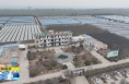 《直通县市》富平留古镇：果蔬大棚春意浓 种出致富好“丰”景