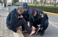 《高新报道》【冬春行动】渭北公安：平凡岗位守初心 暖心救助显真情