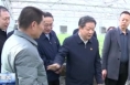 樊维斌在大荔县调研时强调 做优做强特色现代农业
坚决守牢粮食安全底线