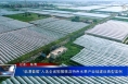 “临渭葡萄”入选全省猕猴桃及特色水果产业链建设典型案例