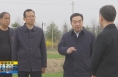 ​《直通县市》亢振峰检查韩城市田长制林长制河长制工作情况