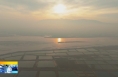 ​《直通县市》黄河大荔段：山河氤氲绿意浓 草木蔓发映生机