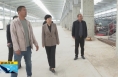 《直通县市》于娟侠调研潼关县经济稳增长工作