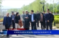 民革陕西省委会来临渭区调研屈武故居保护工作