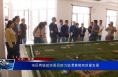 市区两级政协委员助力临渭葡萄高质量发展