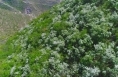 《直通县市》山水相拥 魅力蒲城