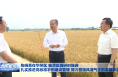 陈晓勇在华州区 临渭区调研时强调 扎实推进高标准农田建设管理 努力营造风清气正的发展环境