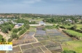 ​《直通县市》富平：温泉湿地 水鸟翩跹