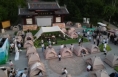 《今朝看华州》少华山：亲水纳凉观景   许你一夏清凉