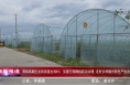 《高新报道》渭南高新区龙背街道龙背村：党建引领网格联动治理  走好乡村振兴特色产业发展路